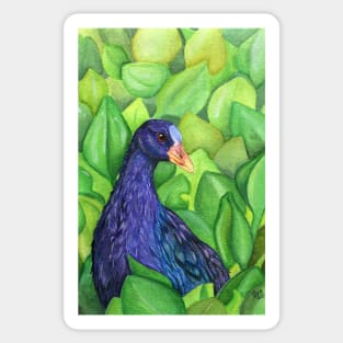 Purple Gallinule Sticker